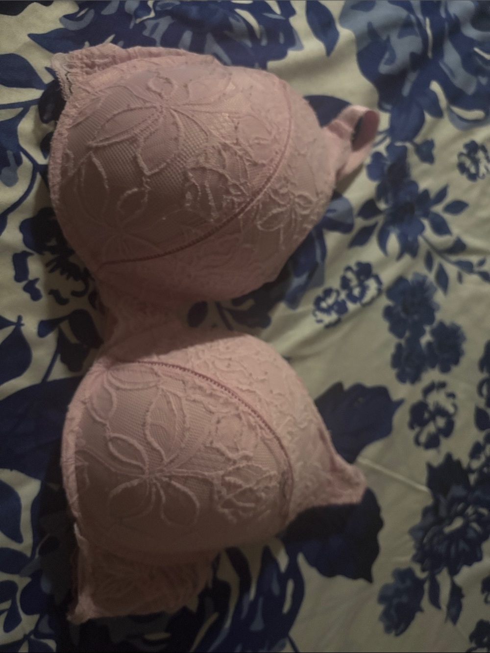 La Vie En Rose Floral Bra in Light Pink